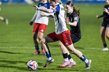Bild 358 - wBJ Hamburger SV - Eimsbuettler TV : Ergebnis: 4:0